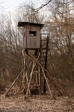 Hochstände (122 von 154).jpg